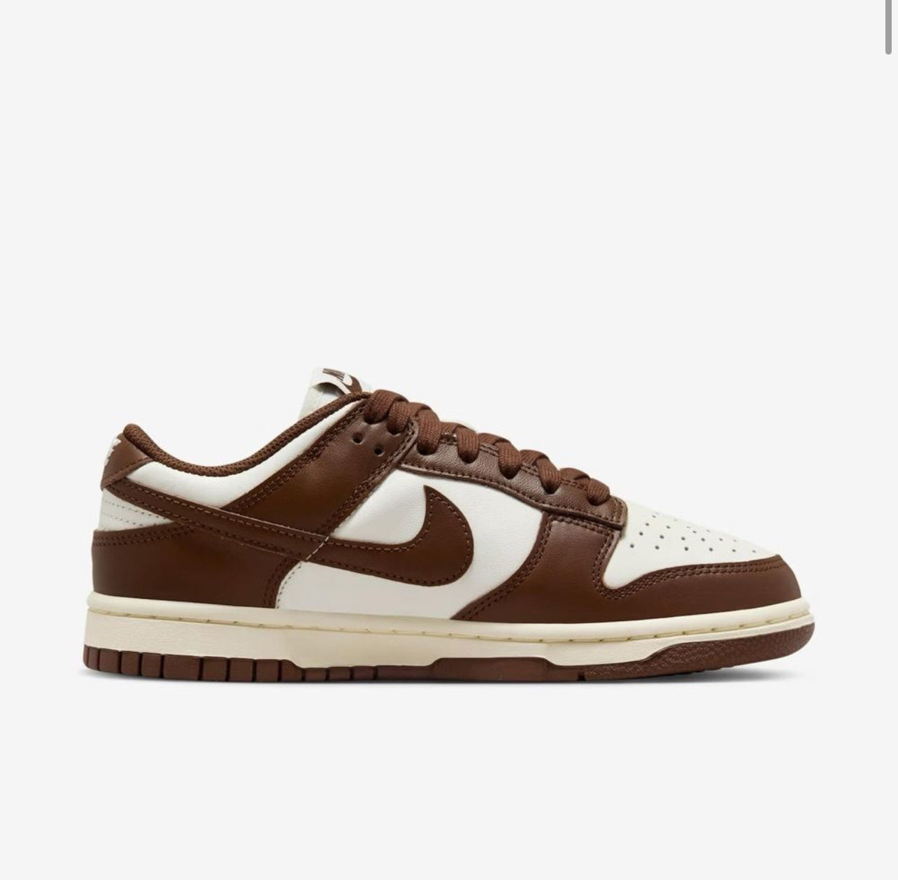 NK Dunk Marrom